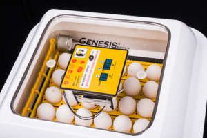easyjik incubator