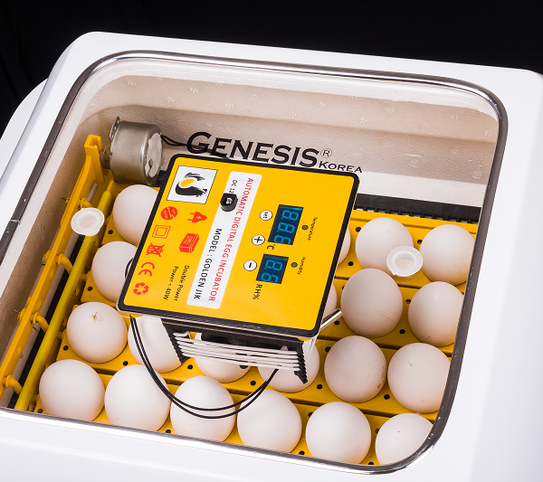 easyjik incubator