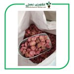 بذر باقلا اعلا اصلاح شده گلچین بذر کیسه 10 کیلویی - تصویر 2